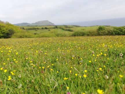 11 IMG 20190507 160314 2016x1512