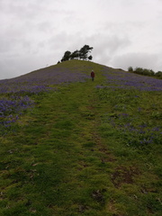 12 IMG 20190508 151154 1512x2016