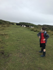 117 IMG 4699 3024x4032